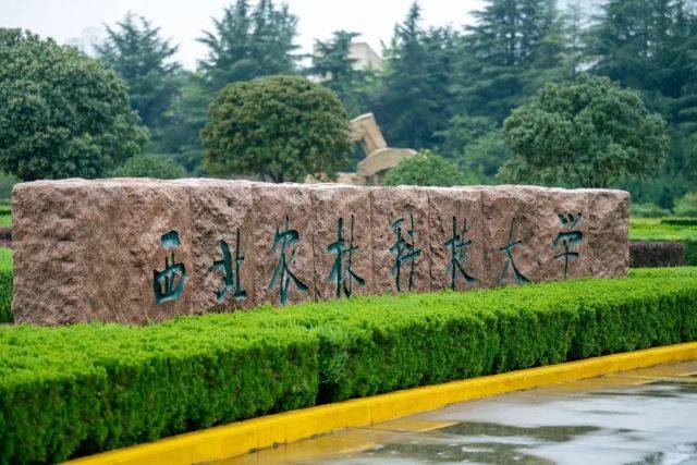 西北农林科技大学文凭(西北农林科技大学毕业条件)