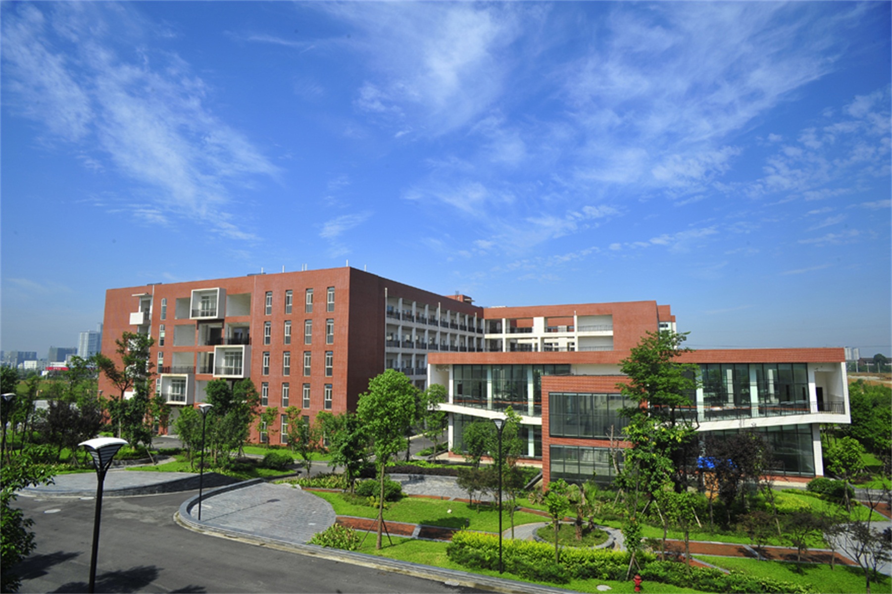 西南财经大学毕业证(西南财经大学几月份发毕业证)