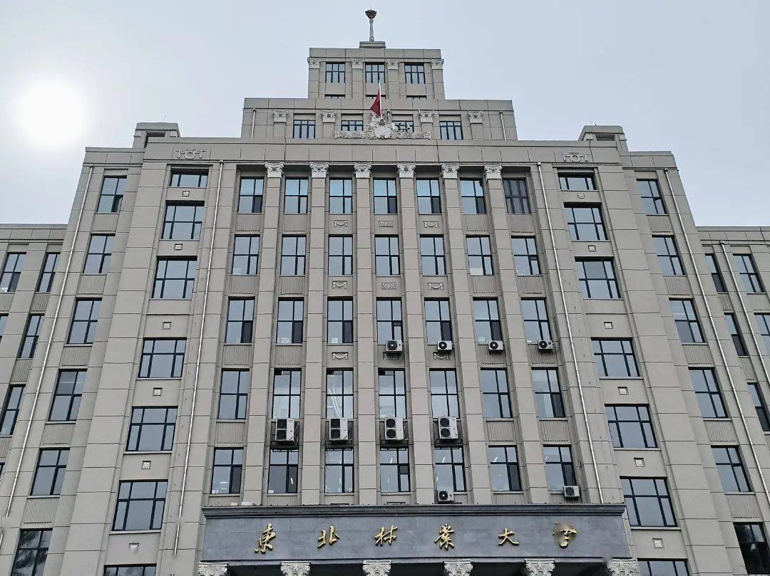 东北林业大学(东北林业大学林学院)